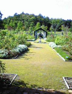 f0063944_18112247.gif