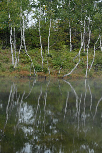c0093046_22492444.jpg