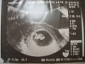 e0123748_10514629.jpg
