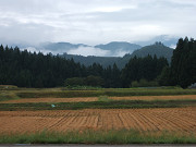 e0123748_1053246.jpg