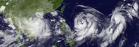 台風、３連；　トンテン仕掛ける_c0105557_19322351.jpg