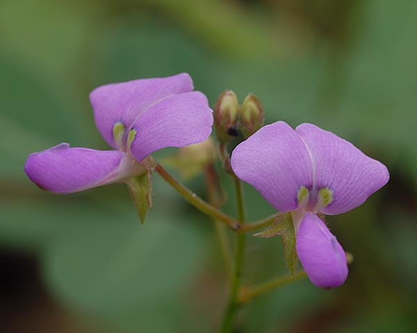 e0035757_21303387.jpg