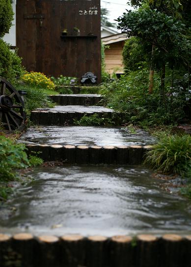 f0102363_22814100.jpg