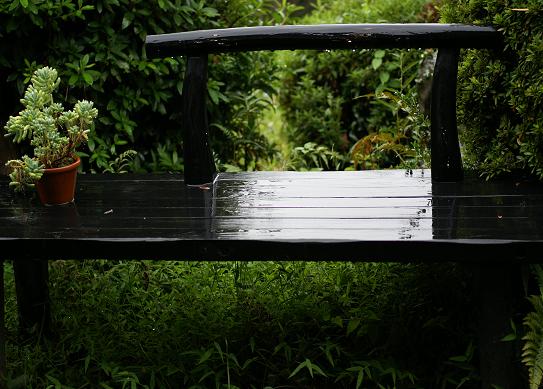 f0102363_2282534.jpg