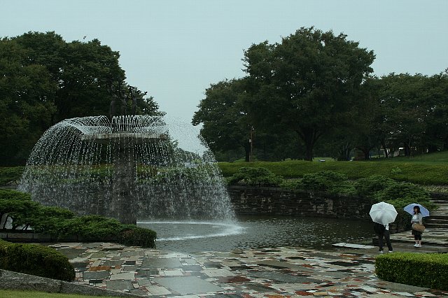 雨の昭和記念公園_f0103667_2493254.jpg