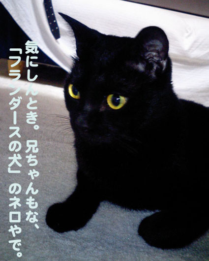 a0084070_2212789.jpg