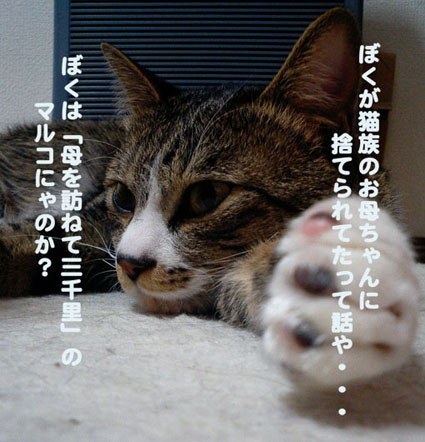 a0084070_221991.jpg