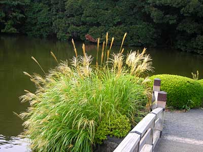 e0097770_2212136.jpg