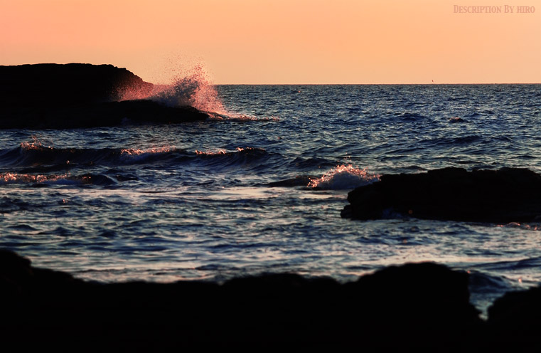 夕方の海も秋色_d0116871_2159937.jpg