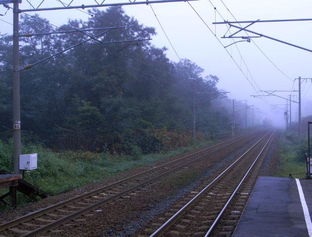 e0100772_2205118.jpg