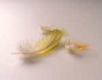 f0146198_143591.jpg