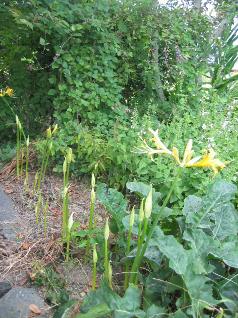 慈雨さん来窯_f0143299_2023104.jpg