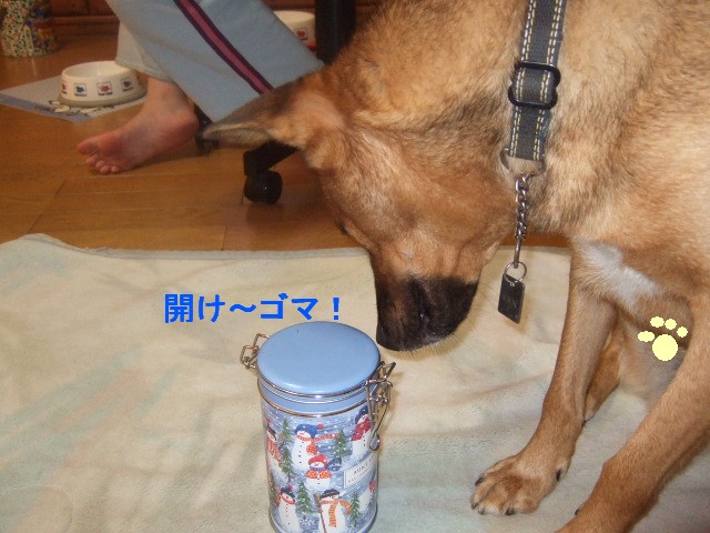 b0087400_0272677.jpg