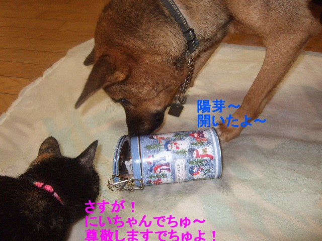 b0087400_02843100.jpg