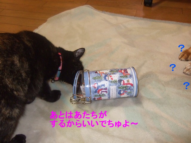 b0087400_0291661.jpg