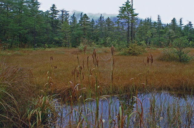 e0039703_21484459.jpg