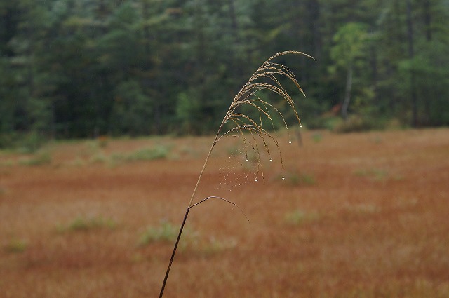 e0039703_21494994.jpg