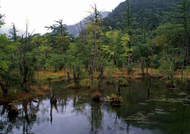 e0039703_2157680.jpg