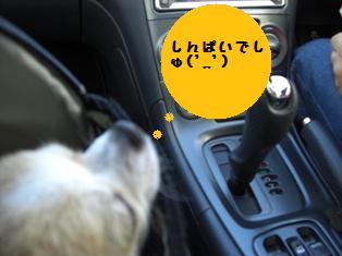 c0132205_22285018.jpg