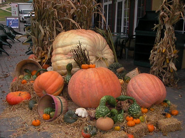 f0038407_1035573.jpg