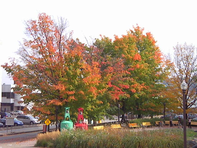 f0038407_4535177.jpg