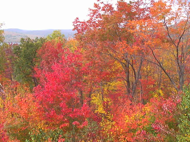 f0038407_9553749.jpg