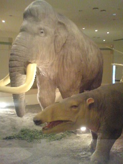 f0101613_039864.jpg