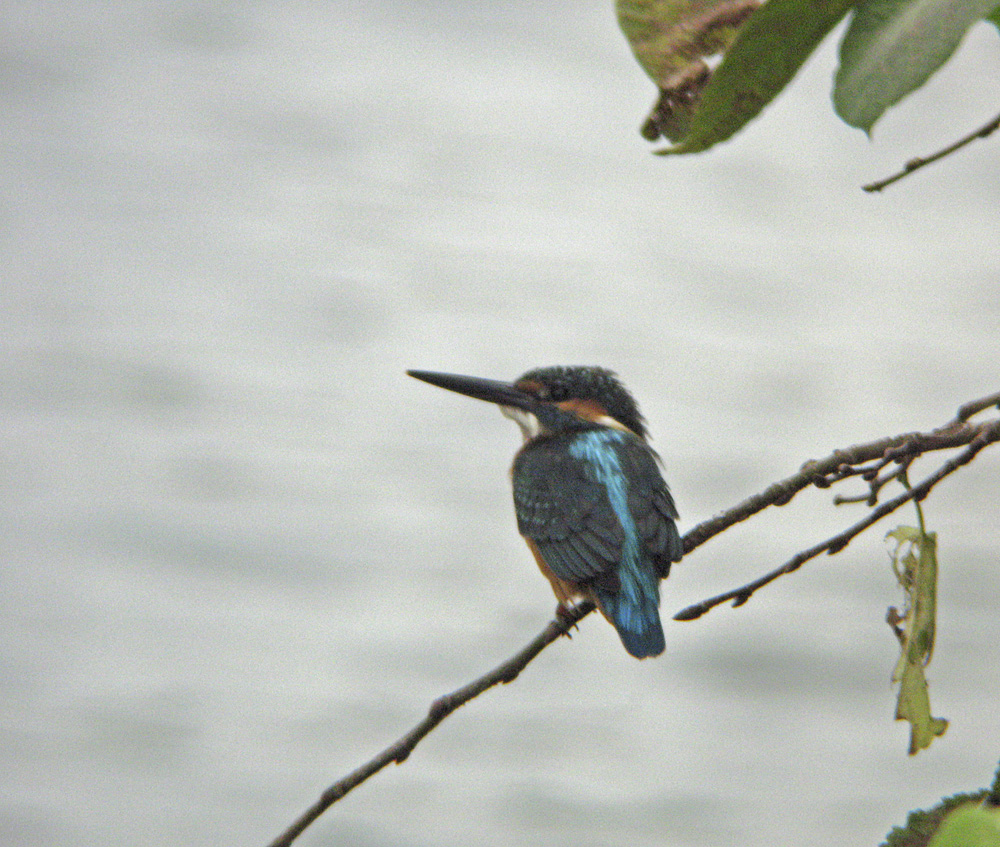 c0018118_23191689.jpg