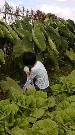 f0126418_13594898.jpg
