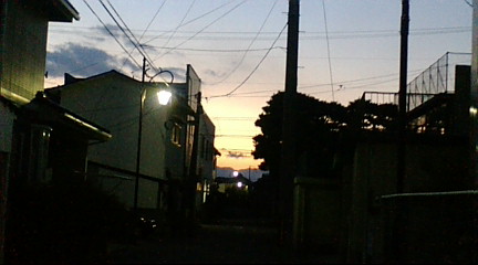 f0126418_1425166.jpg
