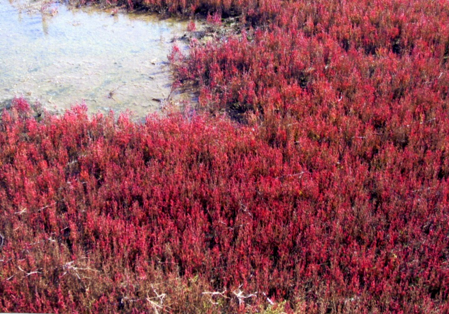 d0130229_21461337.jpg
