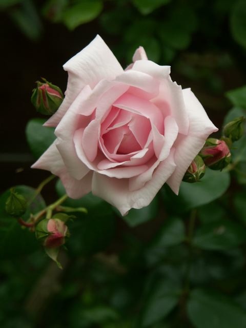 e0044929_9594231.jpg