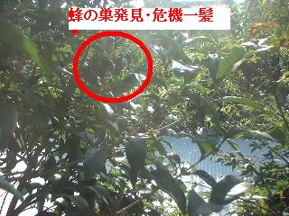 ターボエンジンフルパワー_f0031037_18321934.jpg