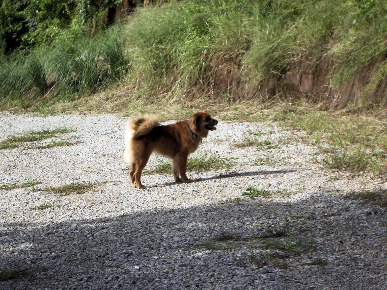 f0034156_20131256.jpg