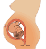 f0082659_1732717.gif