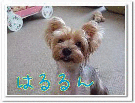 e0120072_14124688.gif