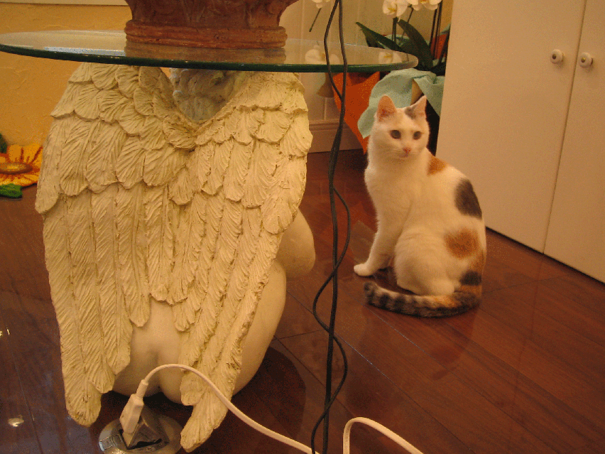f0150073_18103220.gif