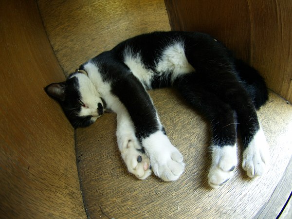 見かたしだいで_c0109780_2114558.jpg