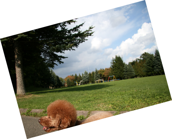 f0001895_1652064.jpg
