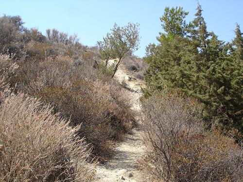 c0010496_35531100.jpg