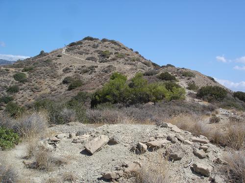 c0010496_35618.jpg