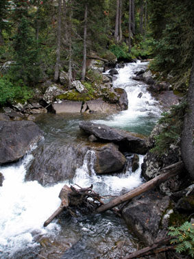 Yellowstone＆Grand Teton旅行記 Vol.8_c0061496_2234090.jpg