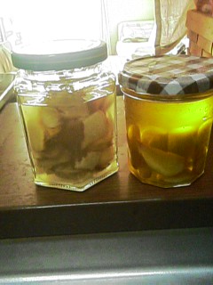 f0051101_9203567.jpg