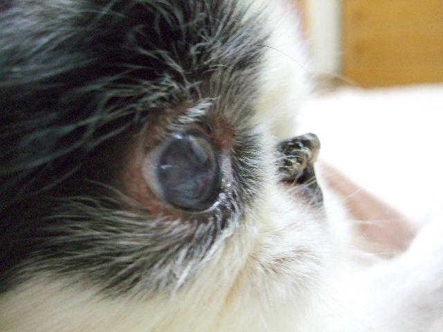 d0079302_21433115.jpg