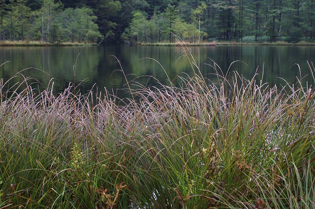 e0039703_114464.jpg