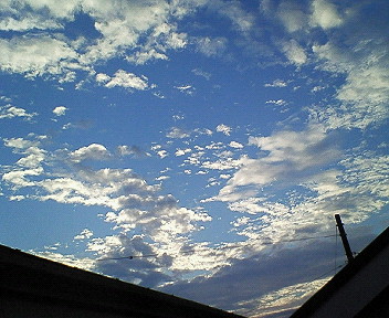 d0065116_1938815.jpg
