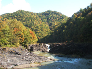 爽やかな秋晴れの一日・・・_f0096216_19294416.jpg