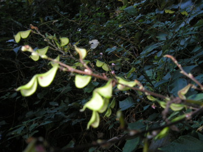 a0048823_1734277.jpg