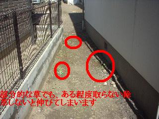 ゴミ処分・定期管理・植木見積・パソコン_f0031037_20435148.jpg