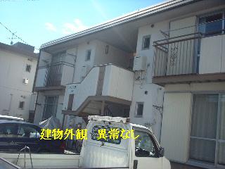ゴミ処分・定期管理・植木見積・パソコン_f0031037_20445083.jpg